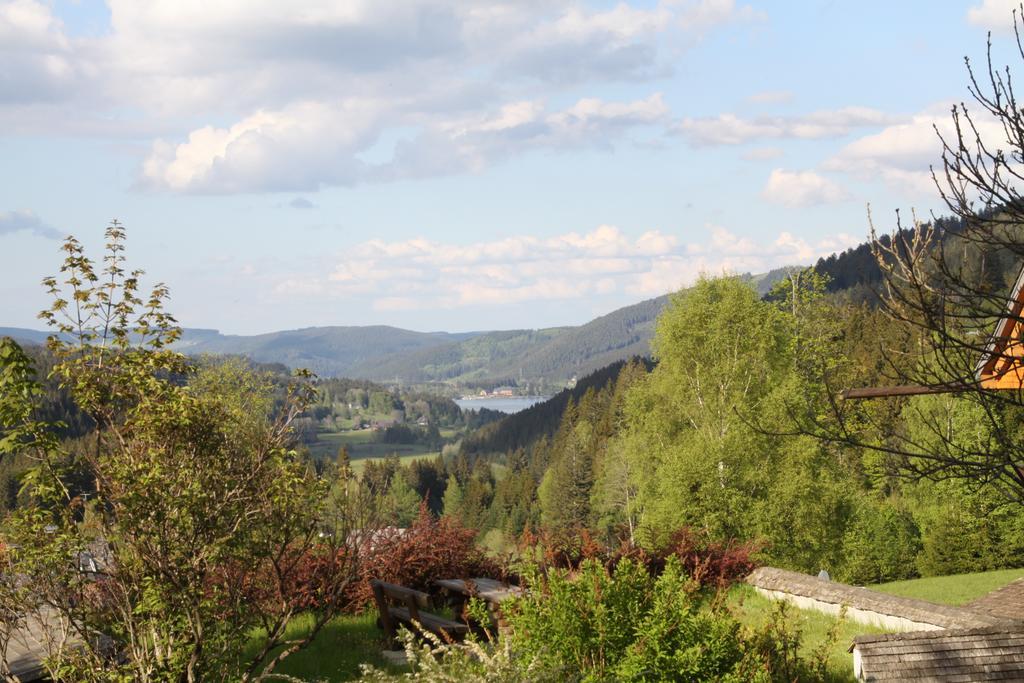 Hotel Adler Baerental Feldberg  Exterior foto
